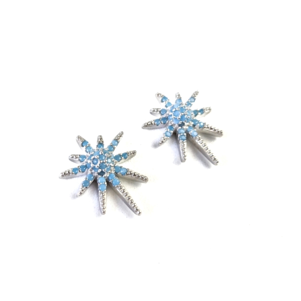 🦋LAST🦋 NWT Lovoda Carina Blue Crystal and Silver Star Statement Studs